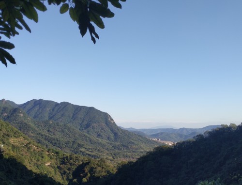 优秀大学生个人求职信怎么写